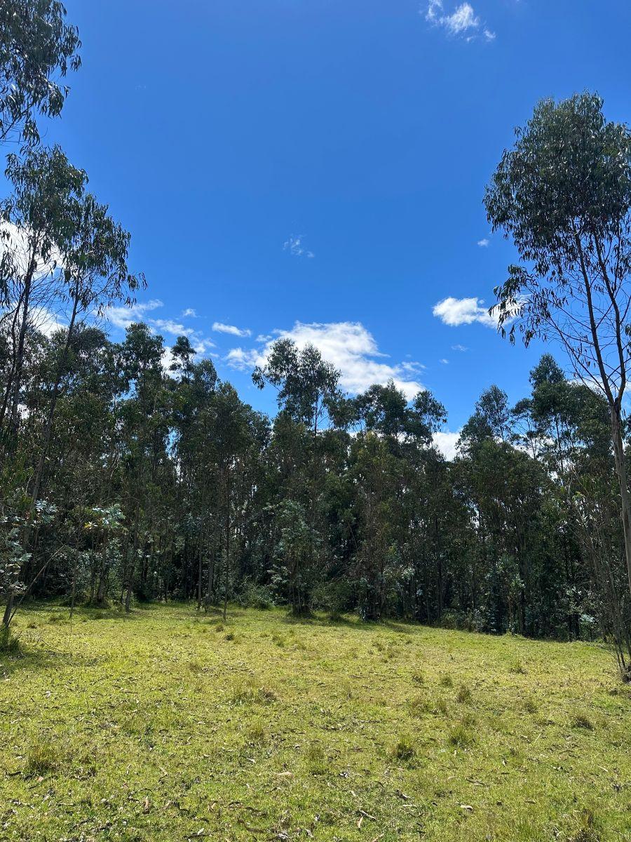 Hermoso Terreno de Venta en Amaguaña — imagen 3