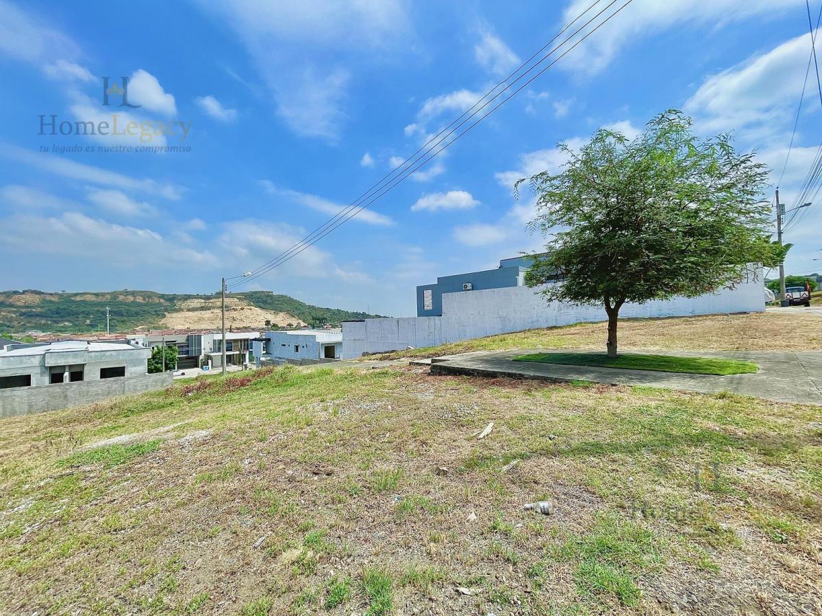 Venta de Terreno, 600 m², Cerca de Área Social, Condado Vicolinci Ae, Guayas — imagen 6