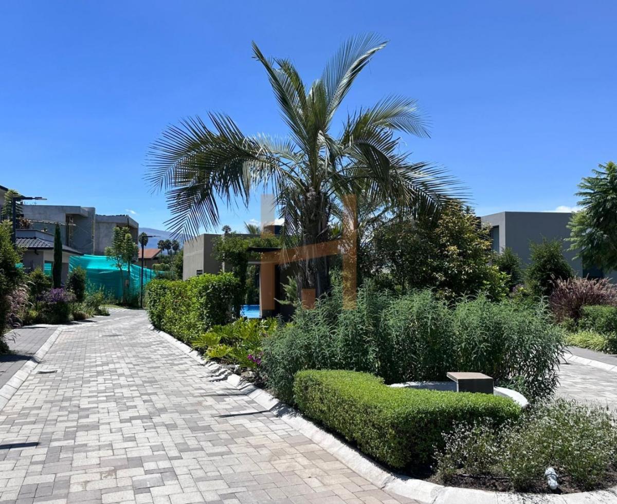 Terreno de Venta en Puembo, 635 m², Cerca Al Club Arrayanes, Urbanización Privada, Ambiente Natural. Provincia de Pichincha — imagen 6