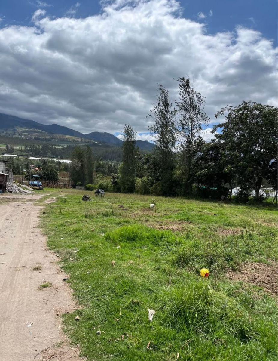 Terreno en Venta de 1500 m² en Cotacachi, Imbabura — imagen 10