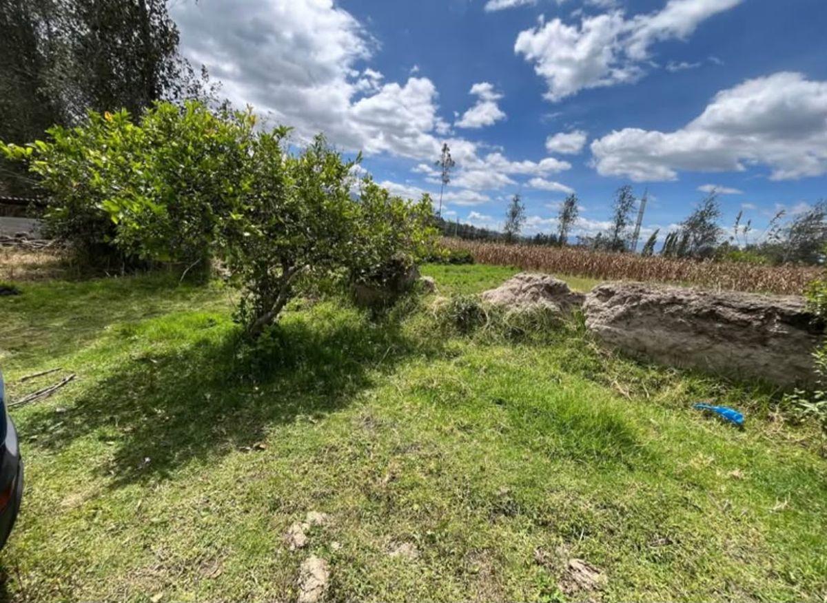 Terreno en Venta de 1500 m² en Cotacachi, Imbabura — imagen 9