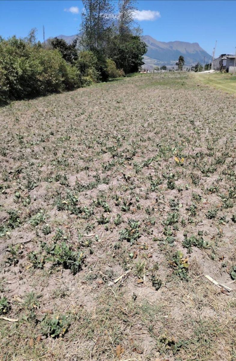 Terreno en Venta de 1500 m² en Cotacachi, Imbabura — imagen 8