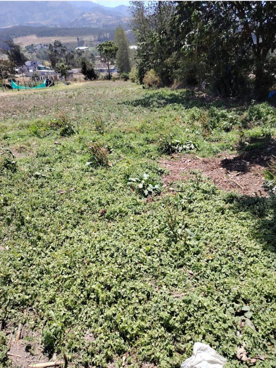 Terreno en Venta de 1500 m² en Cotacachi, Imbabura — imagen 6