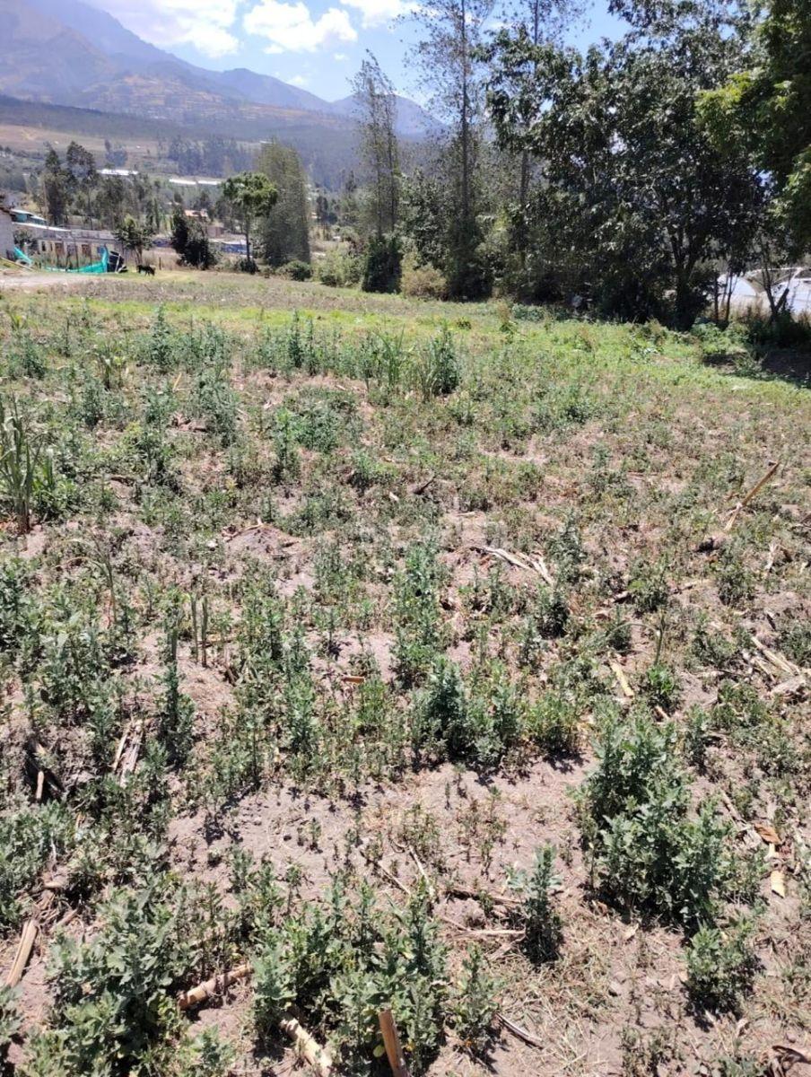 Terreno en Venta de 1500 m² en Cotacachi, Imbabura — imagen 5