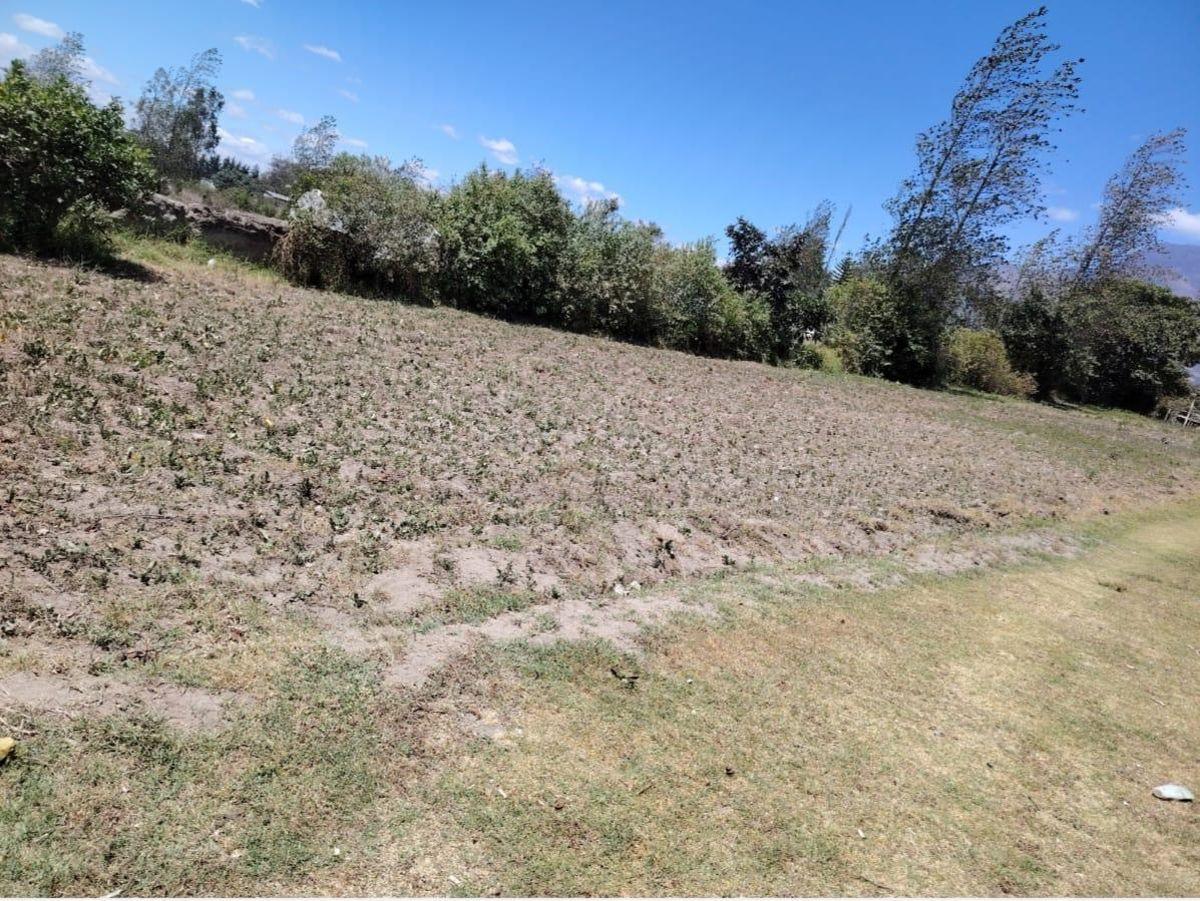 Terreno en Venta de 1500 m² en Cotacachi, Imbabura — imagen 3