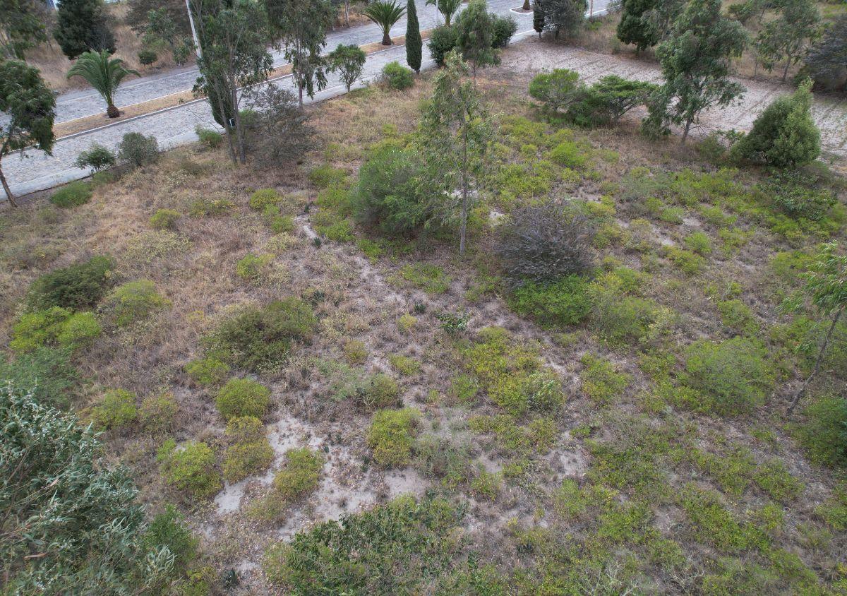Terreno de Venta en Malchingui 2.000 m² Urbanización en Vía Principal — imagen 7
