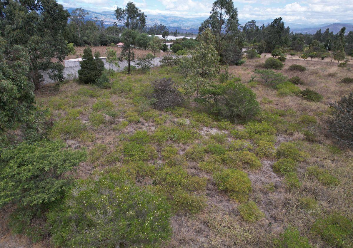 Terreno de Venta en Malchingui 2.000 m² Urbanización en Vía Principal — imagen 5