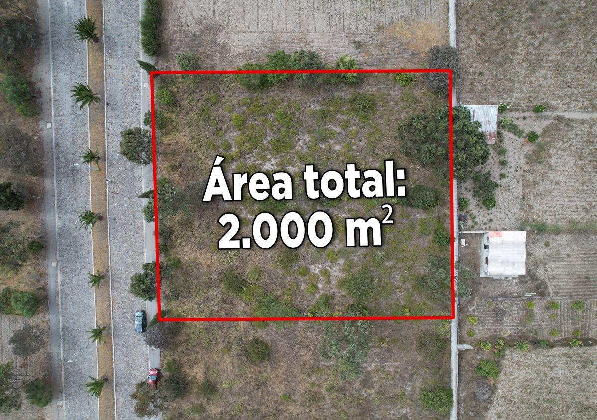 Terreno de Venta en Malchingui 2.000 m² Urbanización en Vía Principal — imagen 4