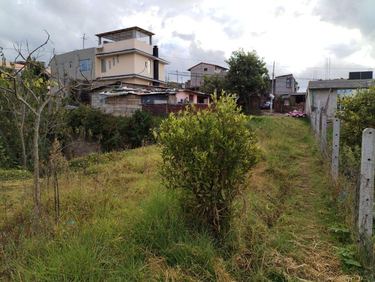 Lote de Terreno de Venta en Tumbaco — imagen 6