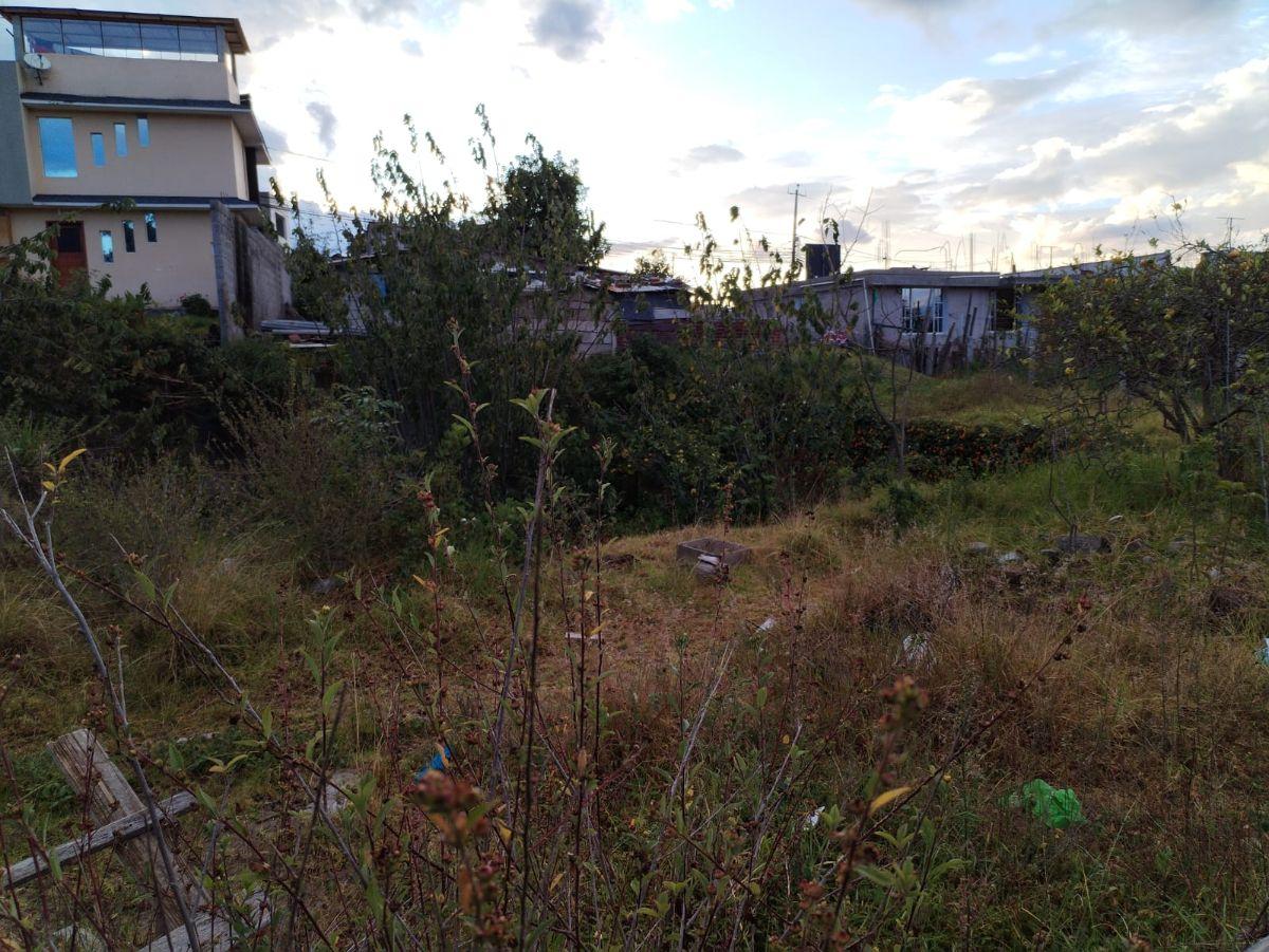 Lote de Terreno de Venta en Tumbaco — imagen 3