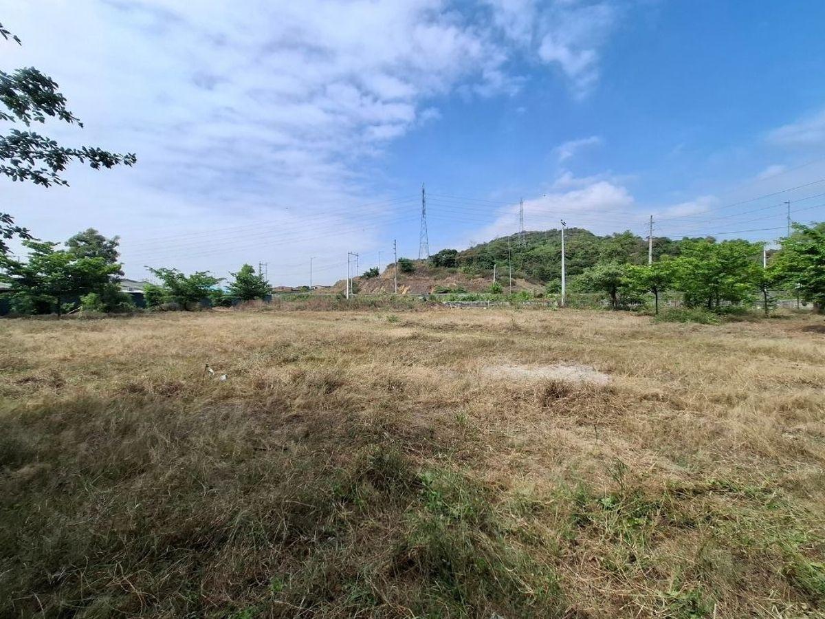 Se Vende Terreno Comercial de 1094 m² en La Joya La Aurora Daule, Guayas — imagen 4