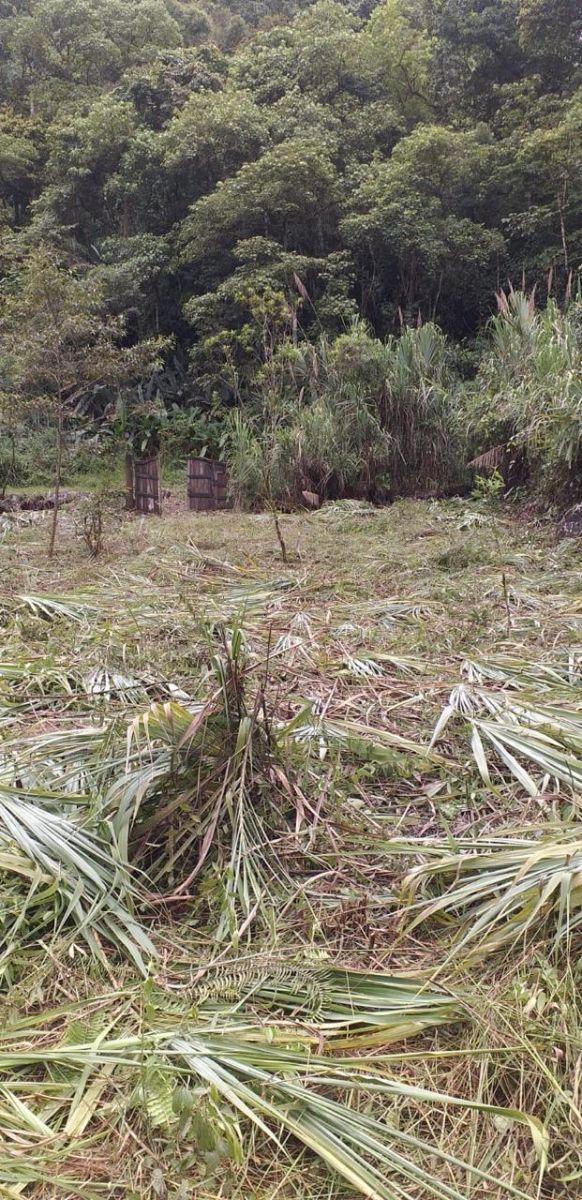 Terreno Venta Mindo Sector Pura Vida — imagen 10
