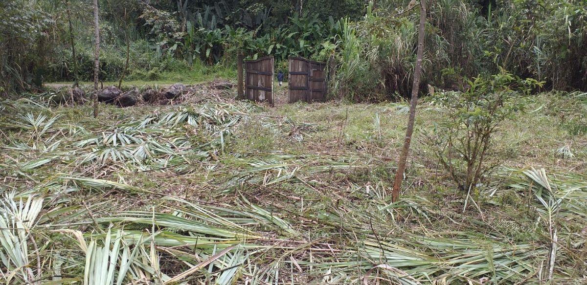Terreno Venta Mindo Sector Pura Vida — imagen 8