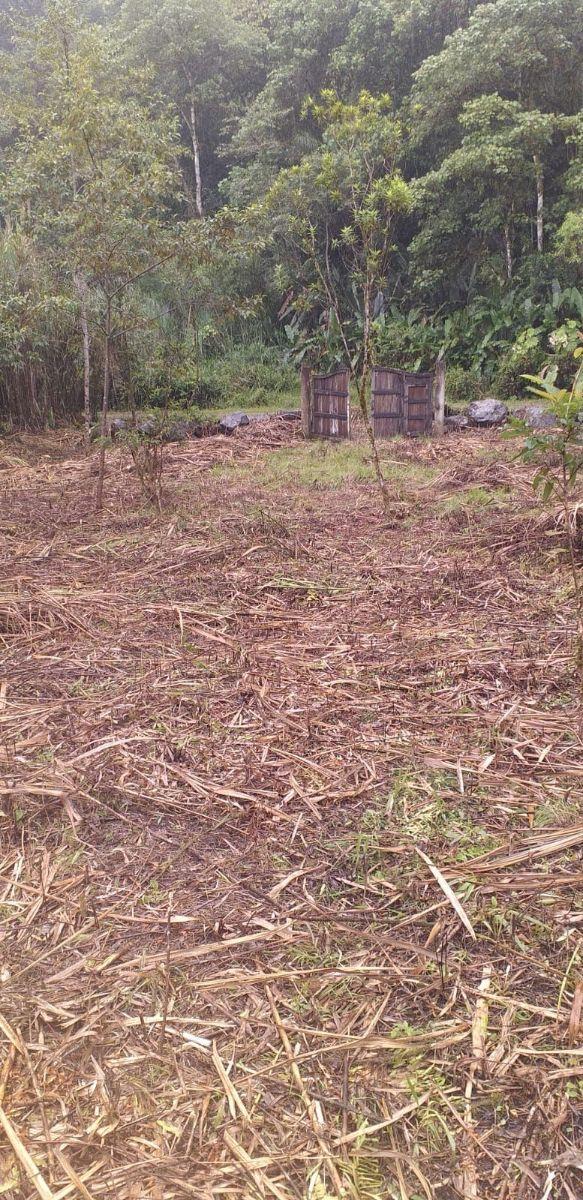 Terreno Venta Mindo Sector Pura Vida — imagen 7