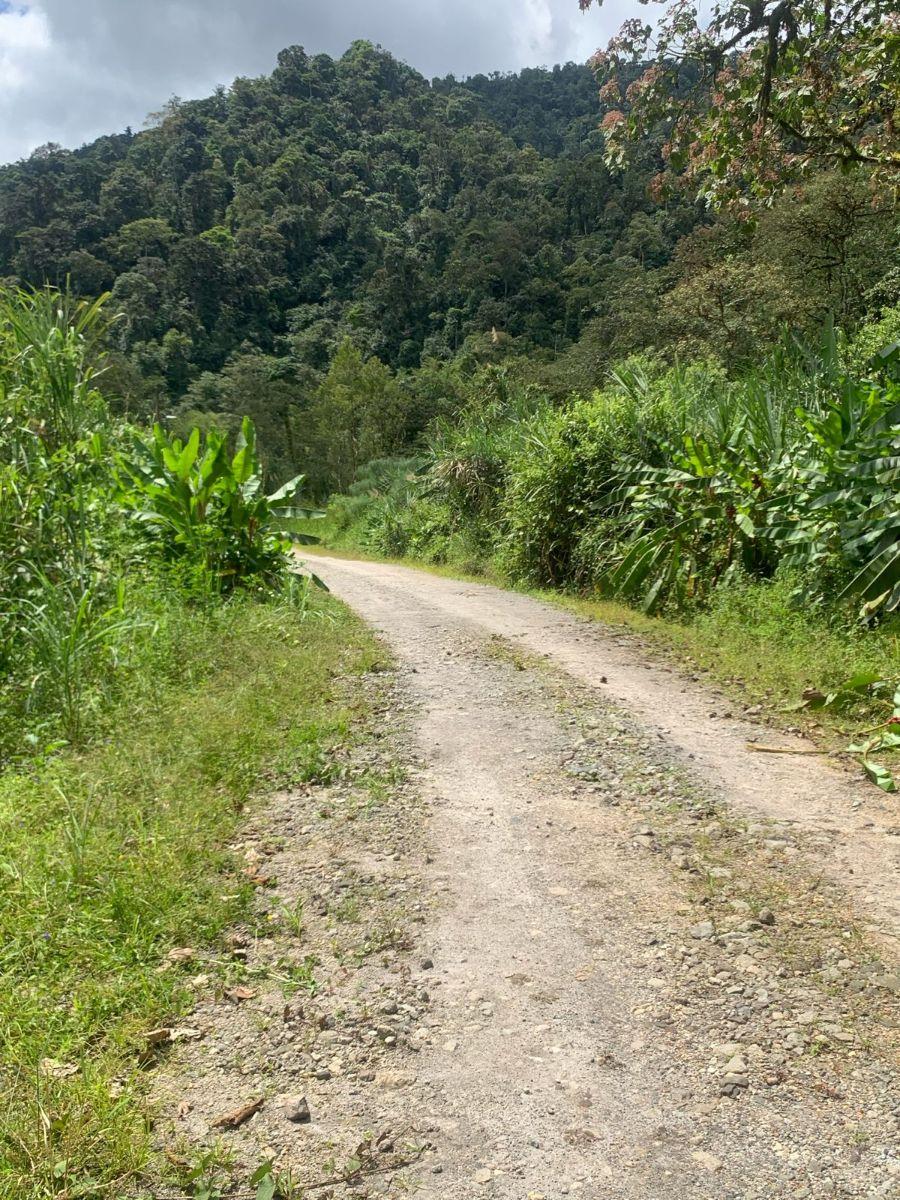 Terreno Venta Mindo Sector Pura Vida — imagen 3