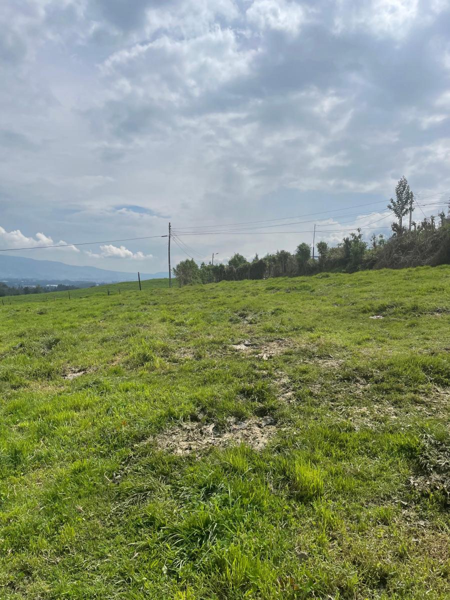 Terreno con Usos: Ganadero, Floricola, Vivienda en Tambillo — imagen 4