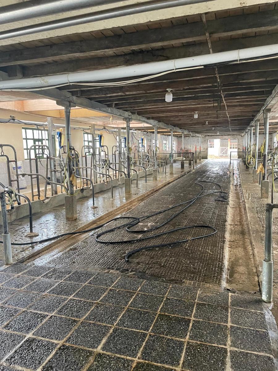 Terreno con Usos: Ganadero, Floricola, Vivienda en Tambillo — imagen 3