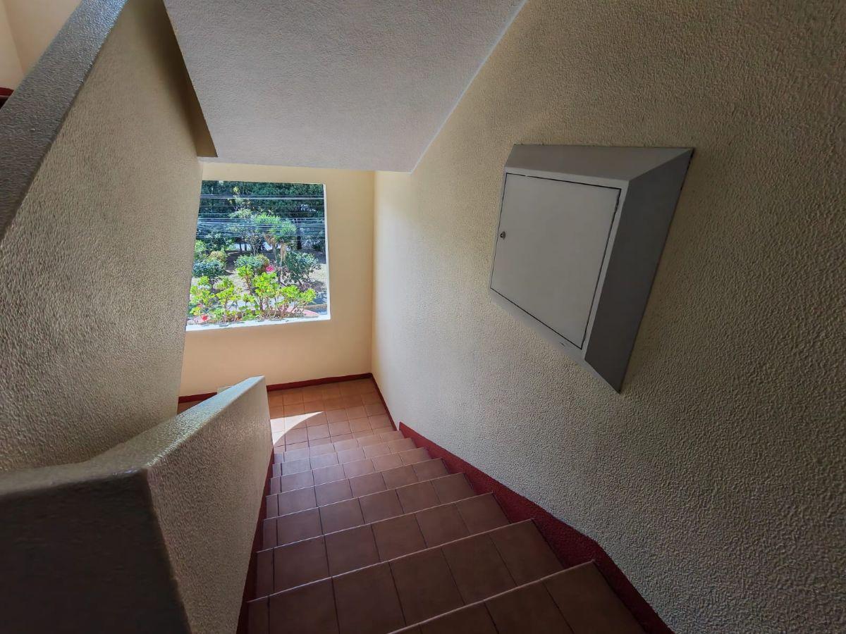 Venta de Dpto Pinar Alto Conjunto Monte Amiata — imagen 8