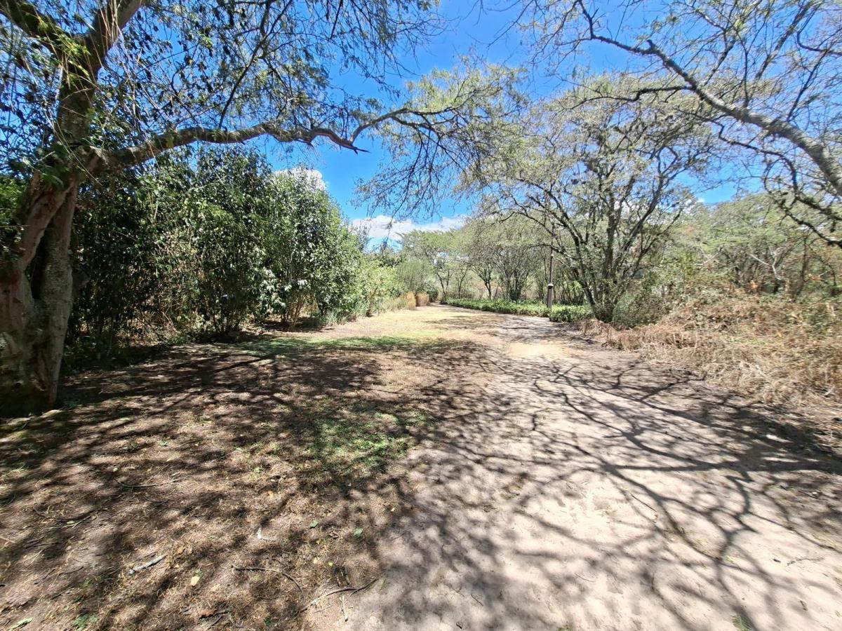 Vendo Precio de Oportunidad Hermoso Terreno Urbanización Yurakuna — imagen 7