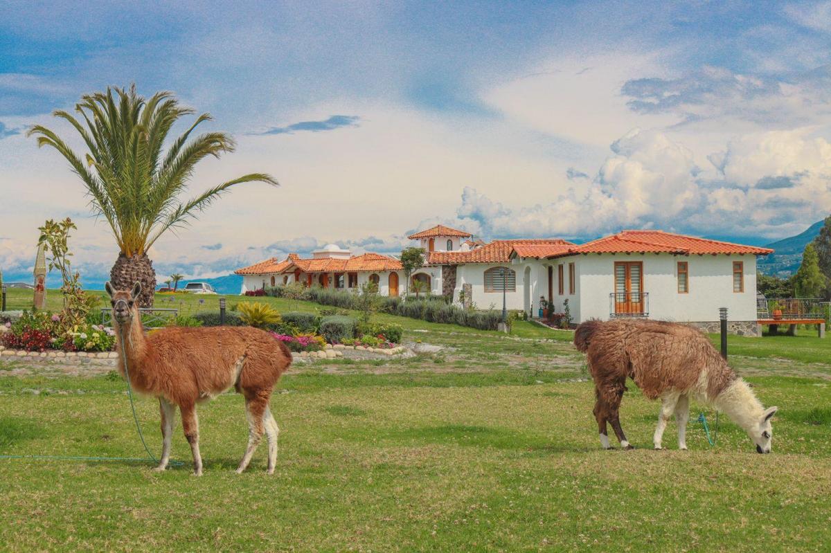 Vivir con Tranquilidad y Armonia, Imbabura — imagen 8