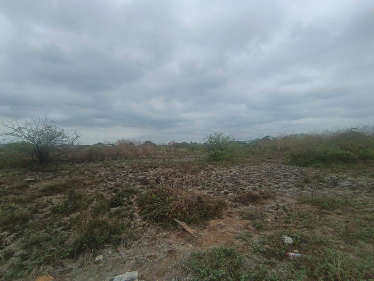 Venta Terreno 1400 m² Durán Fincas Delia Gins, Guayas — imagen 10