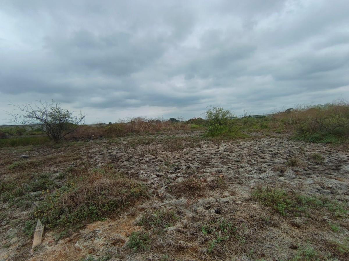 Venta Terreno 1400 m² Durán Fincas Delia Gins, Guayas — imagen 9