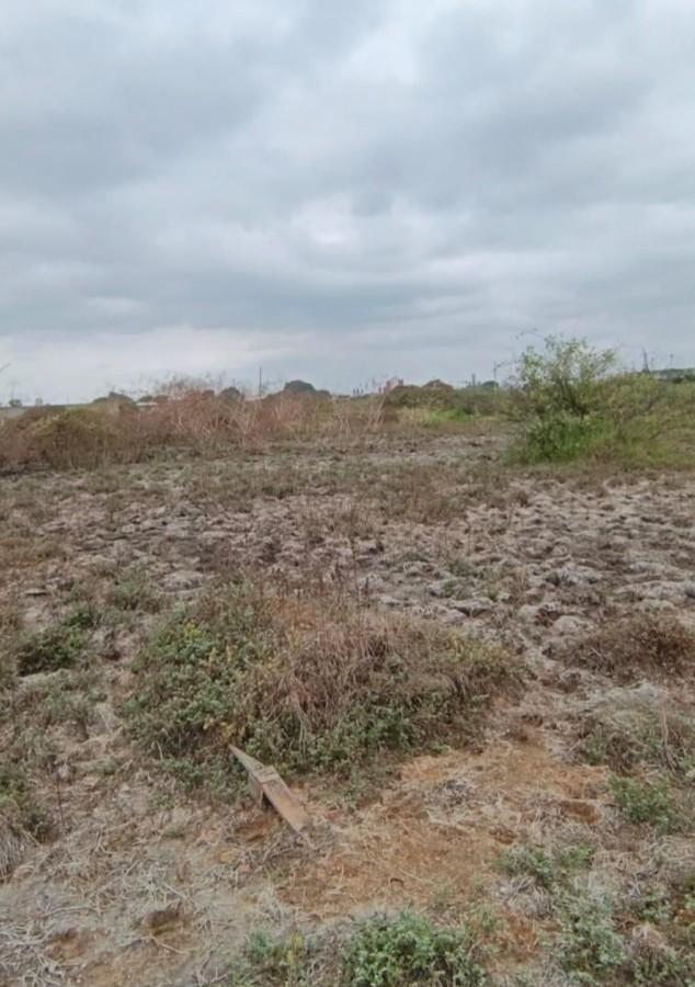 Venta Terreno 1400 m² Durán Fincas Delia Gins, Guayas — imagen 8