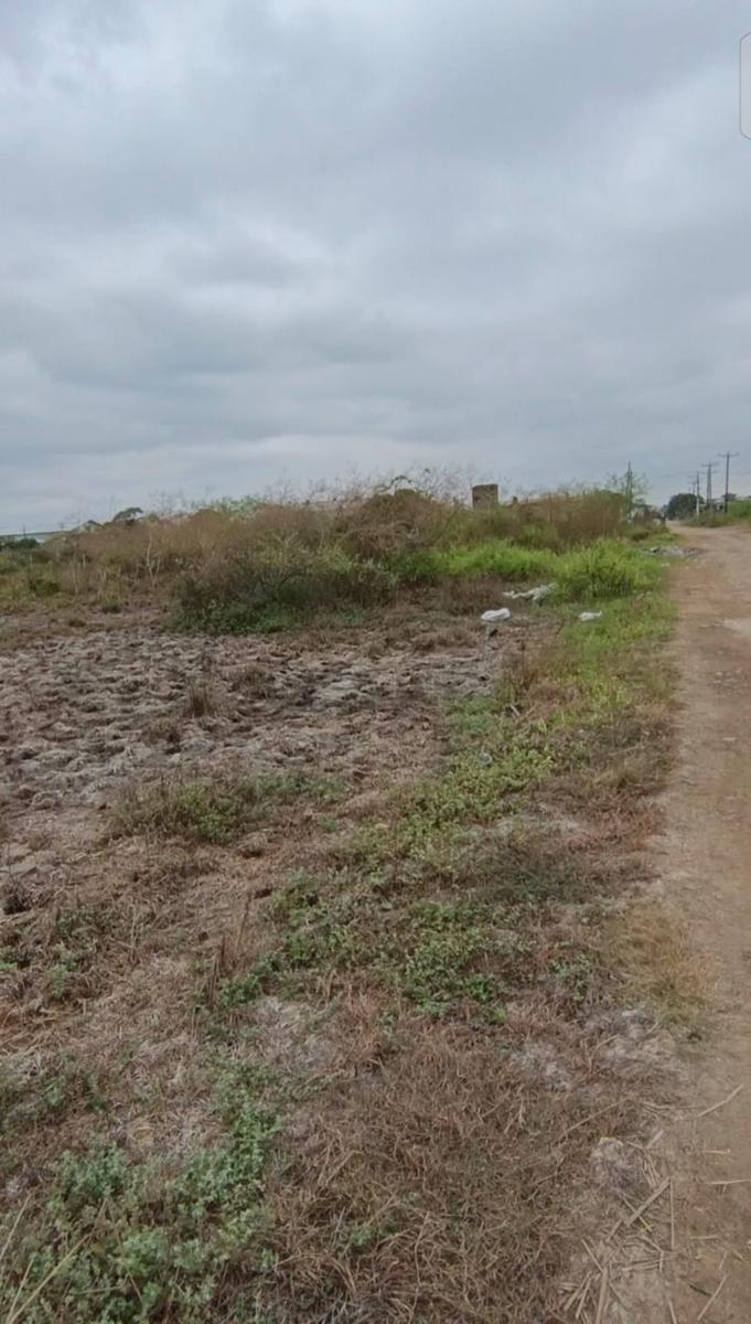 Venta Terreno 1400 m² Durán Fincas Delia Gins, Guayas — imagen 7