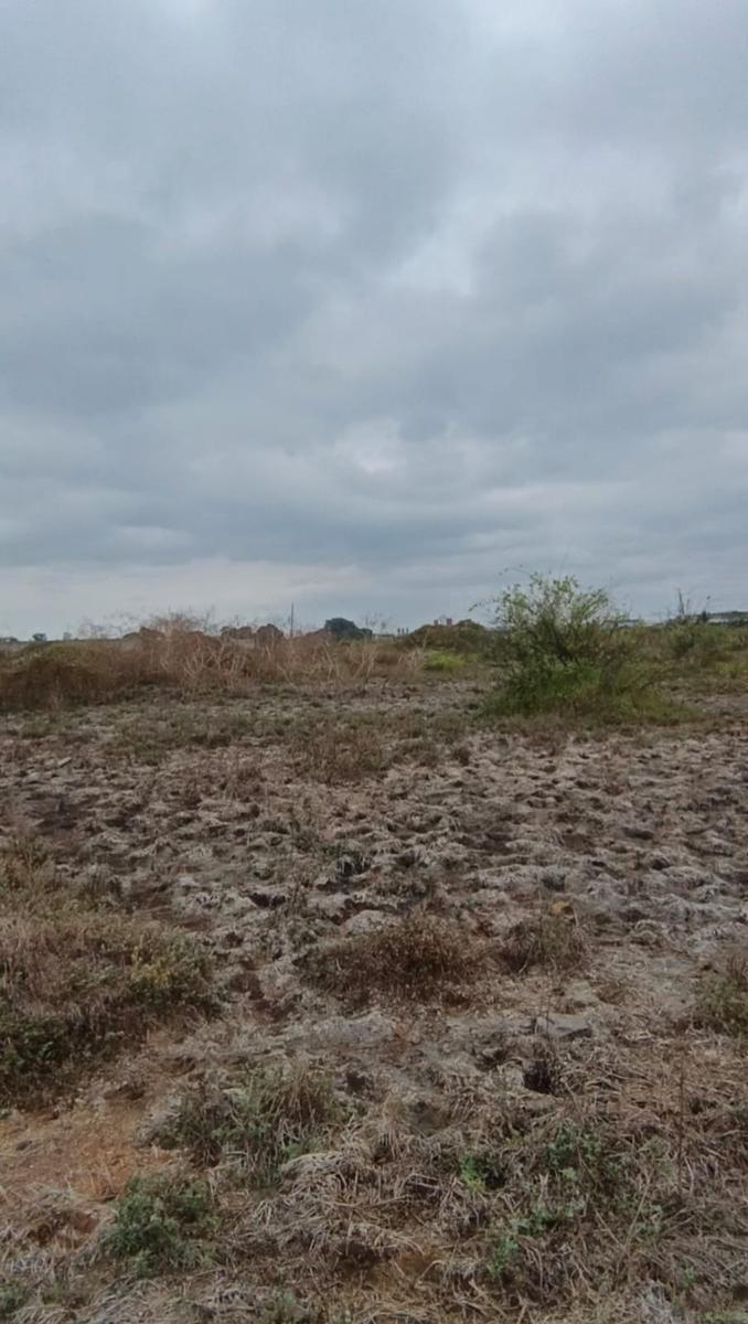 Venta Terreno 1400 m² Durán Fincas Delia Gins, Guayas — imagen 4