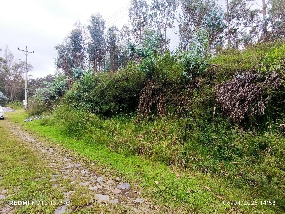 Venta en Huerto Familiar — imagen 3