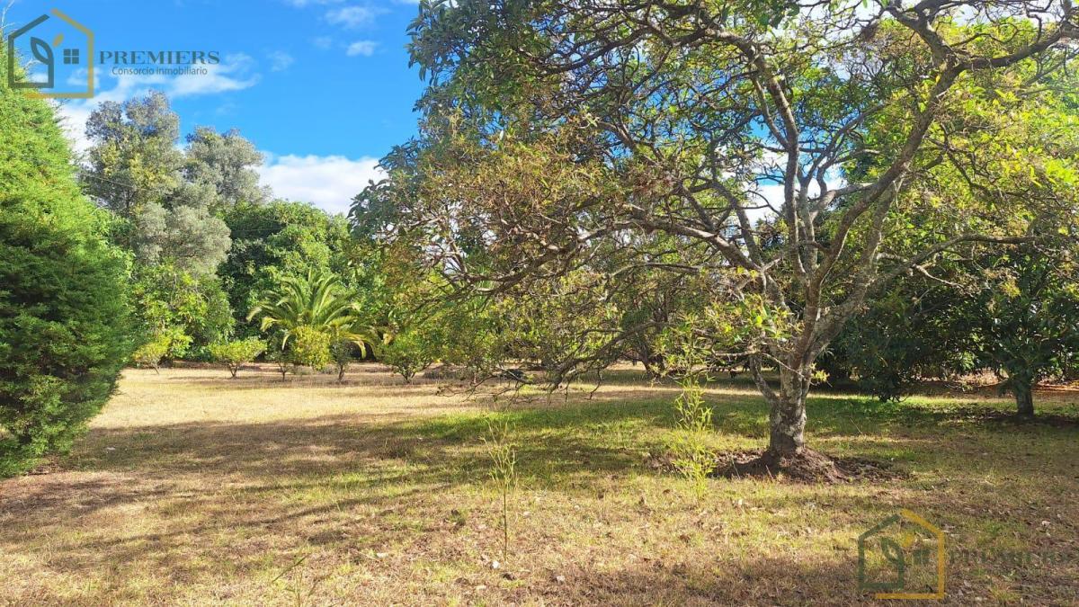 Venta de Propiedad Valle de Los Chillos, San Gabriel — imagen 7