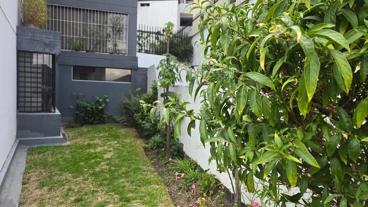 Departamento Remodelado con Jardín Privado en El Mejor Sector de Quito Tenis — imagen 8
