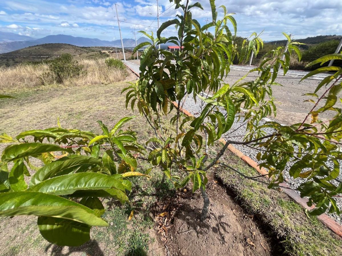 Vendo Terreno Vacacional De2.000 Mtrs2 Entocachi / Cantón Pedro Moncayo — imagen 4
