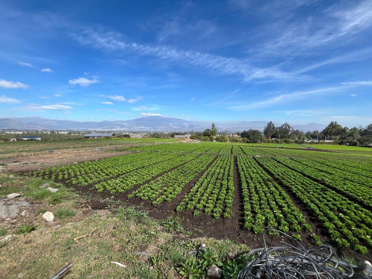 Vendo Hermoso Terreno Esquinero en Tababela 2 Frentes a Vías Principales 2 Hectáreas — imagen 8