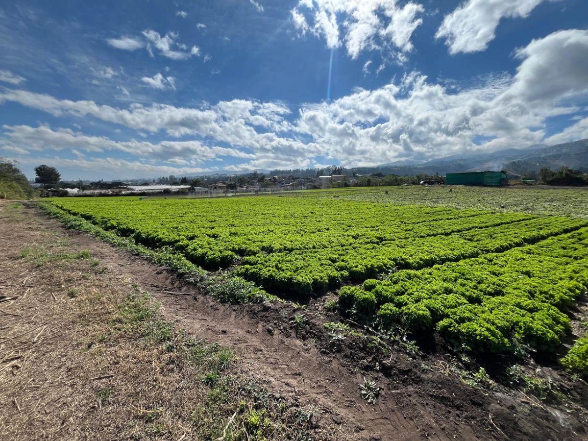 Vendo Hermoso Terreno Esquinero en Tababela 2 Frentes a Vías Principales 2 Hectáreas — imagen 7