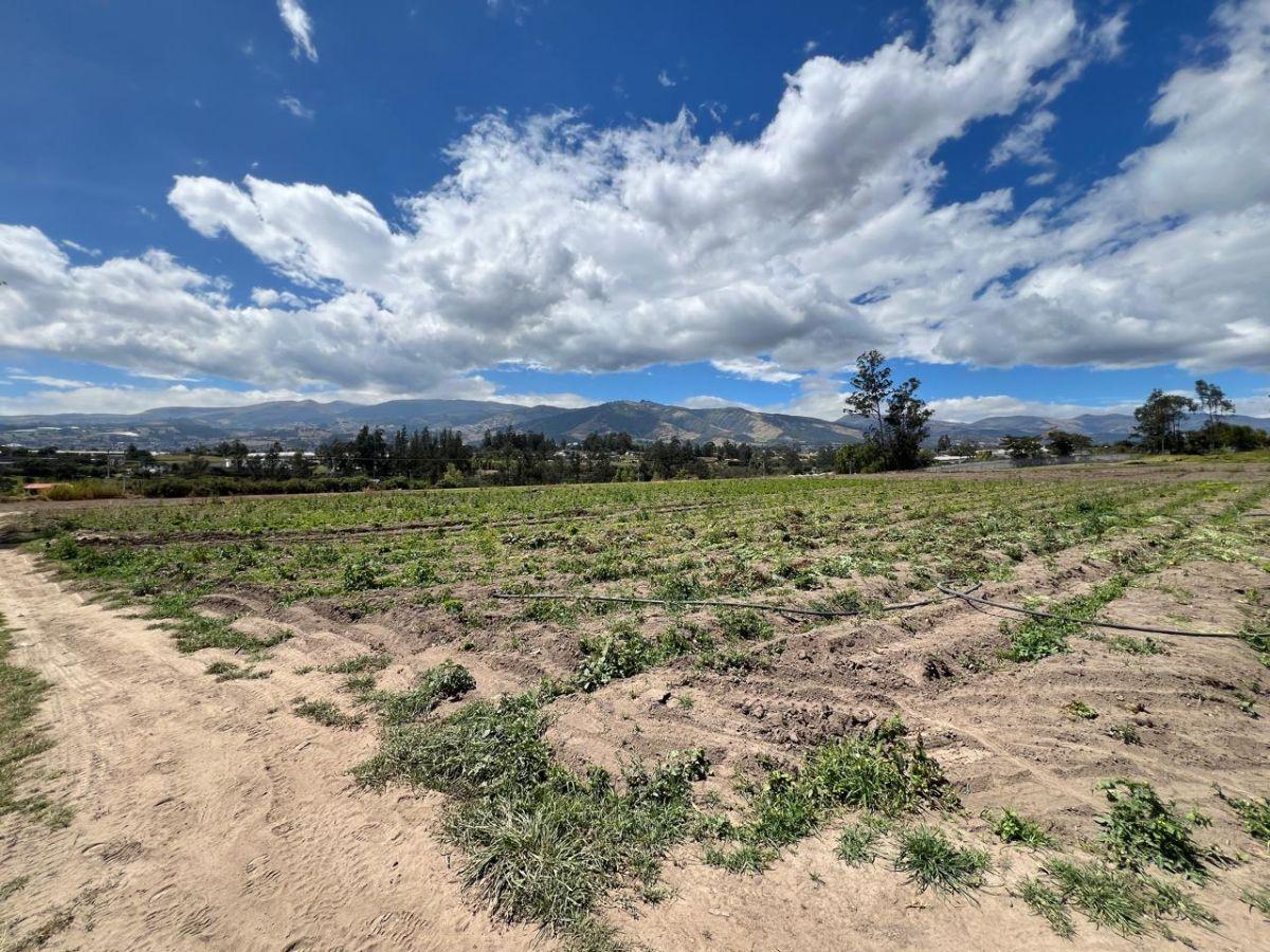 Vendo Hermoso Terreno Esquinero en Tababela 2 Frentes a Vías Principales 2 Hectáreas — imagen 6