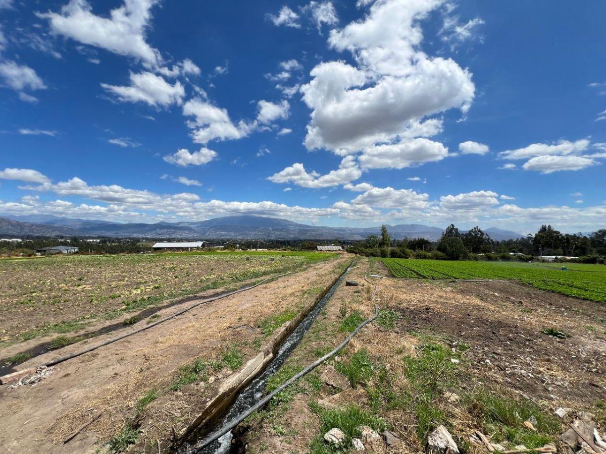 Vendo Hermoso Terreno Esquinero en Tababela 2 Frentes a Vías Principales 2 Hectáreas — imagen 3