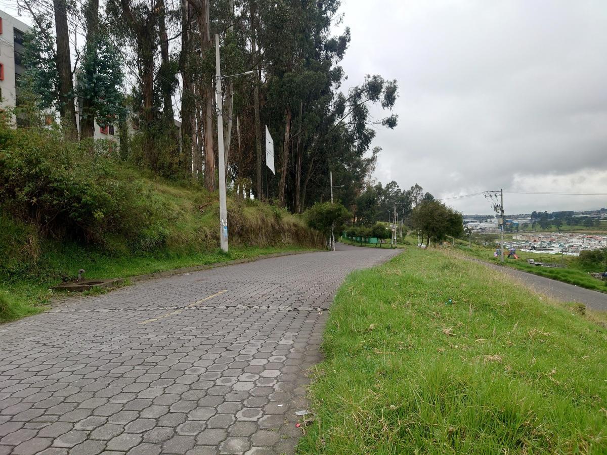 Bellavista del Sur, Terreno 258 m², de Oportunidad, y Sin Gravámenes — imagen 5