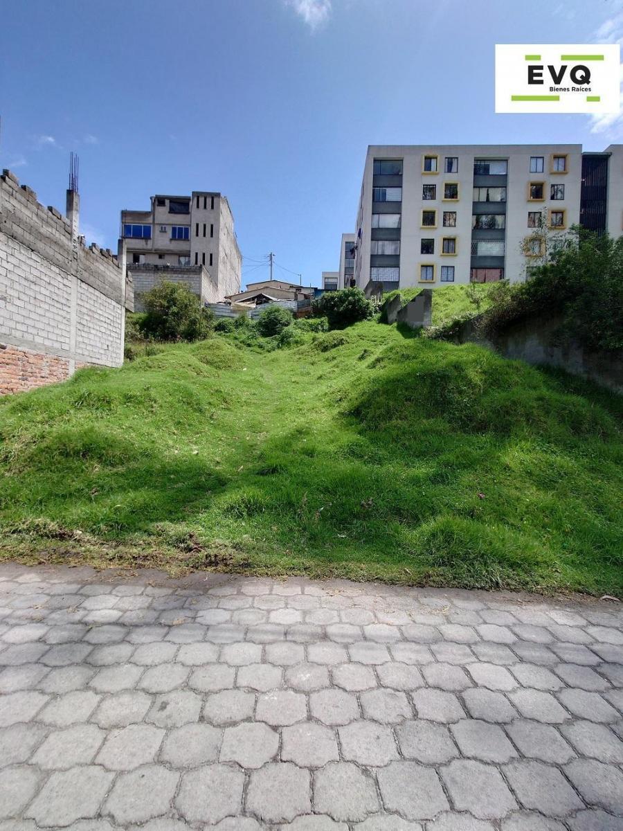 Bellavista del Sur, Terreno 258 m², de Oportunidad, y Sin Gravámenes — imagen 4