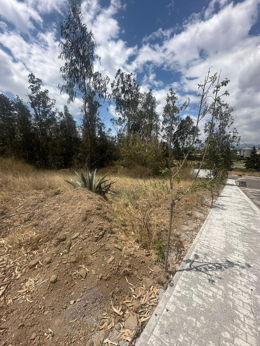 Lotes de Venta en Exclusivo Conjunto Privado en Puembo — imagen 7