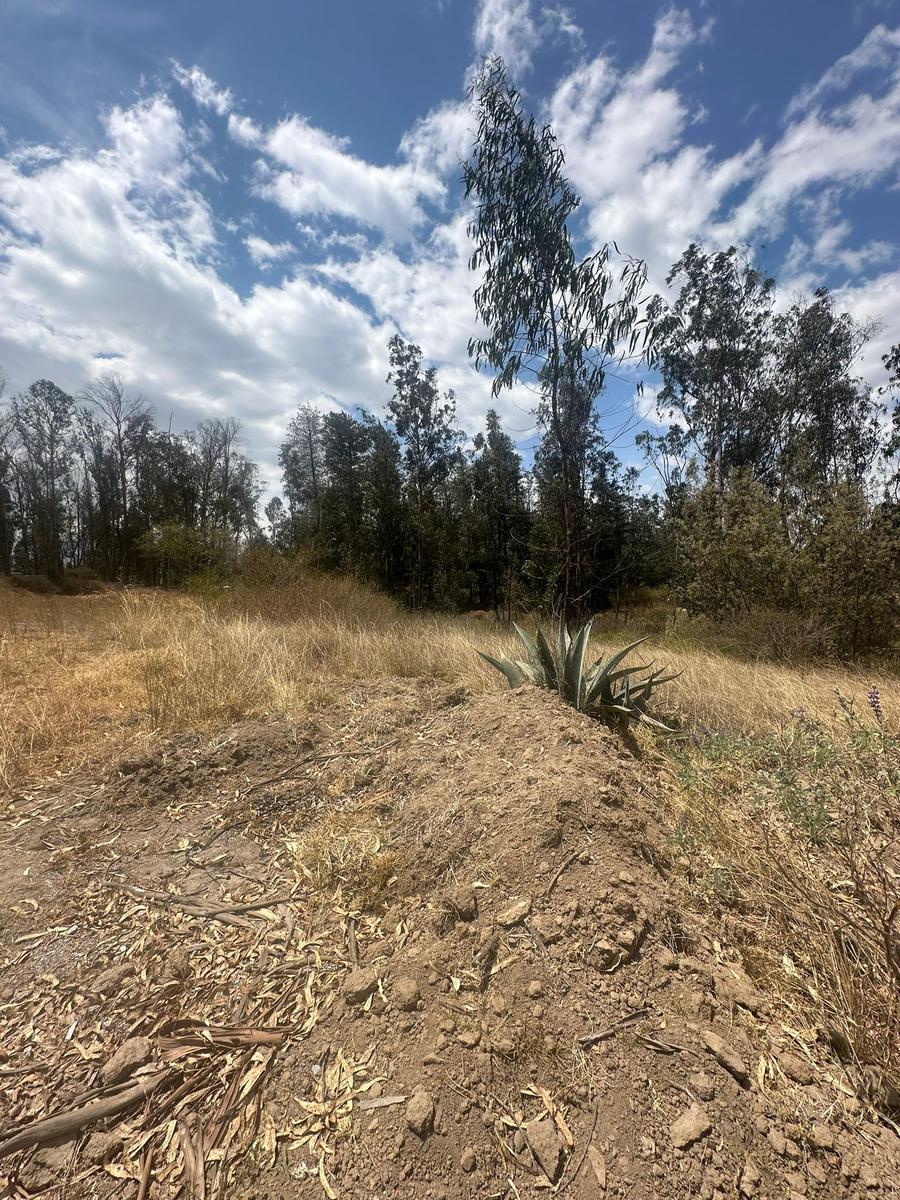 Lotes de Venta en Exclusivo Conjunto Privado en Puembo — imagen 6