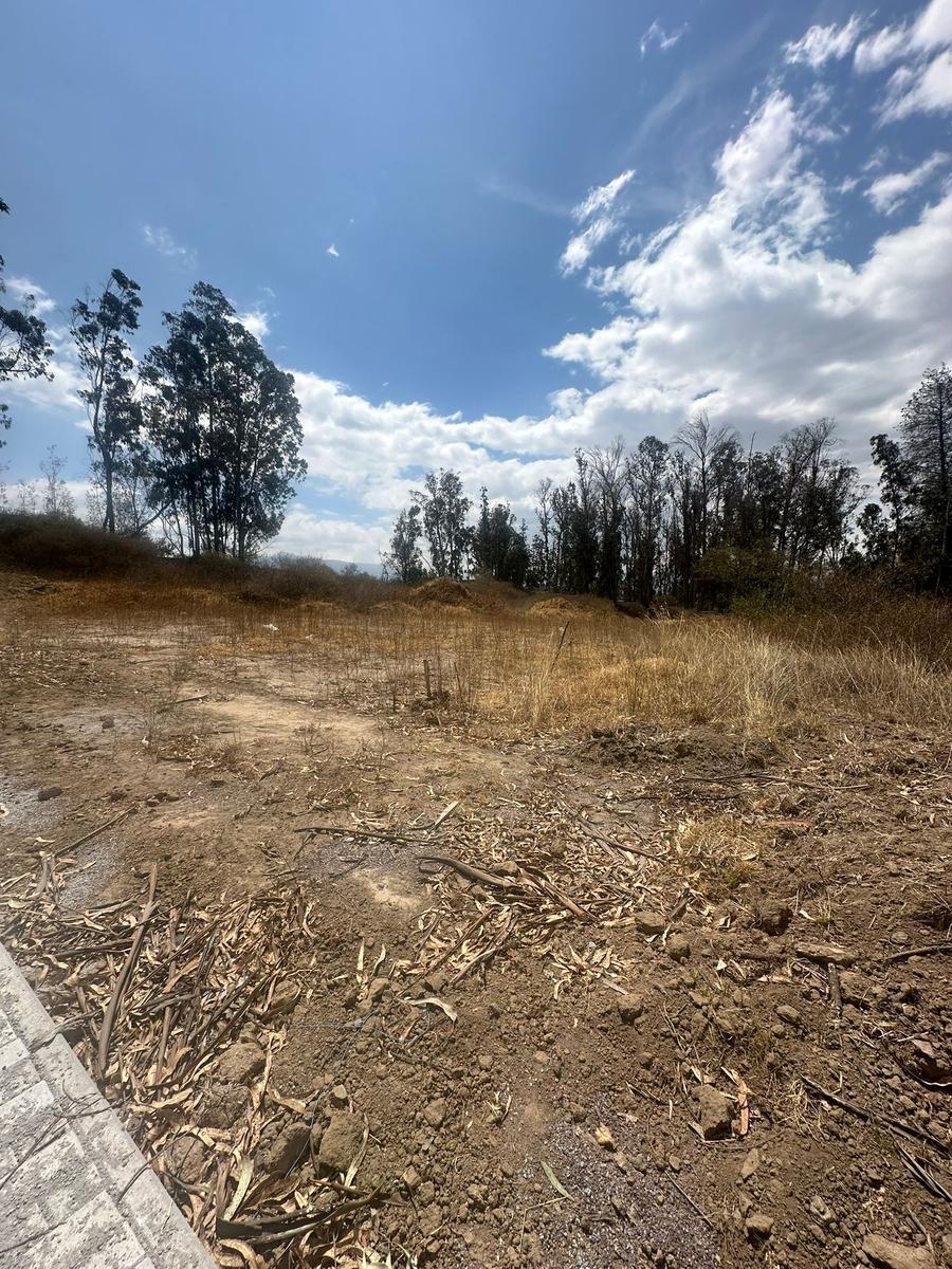 Lotes de Venta en Exclusivo Conjunto Privado en Puembo — imagen 5