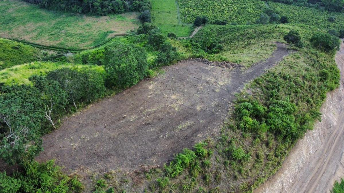 Venta de Terrenos Para Lotizar con Vista Al Mar Sector Don Juan Via Jama - Pedernales, Manabí — imagen 5