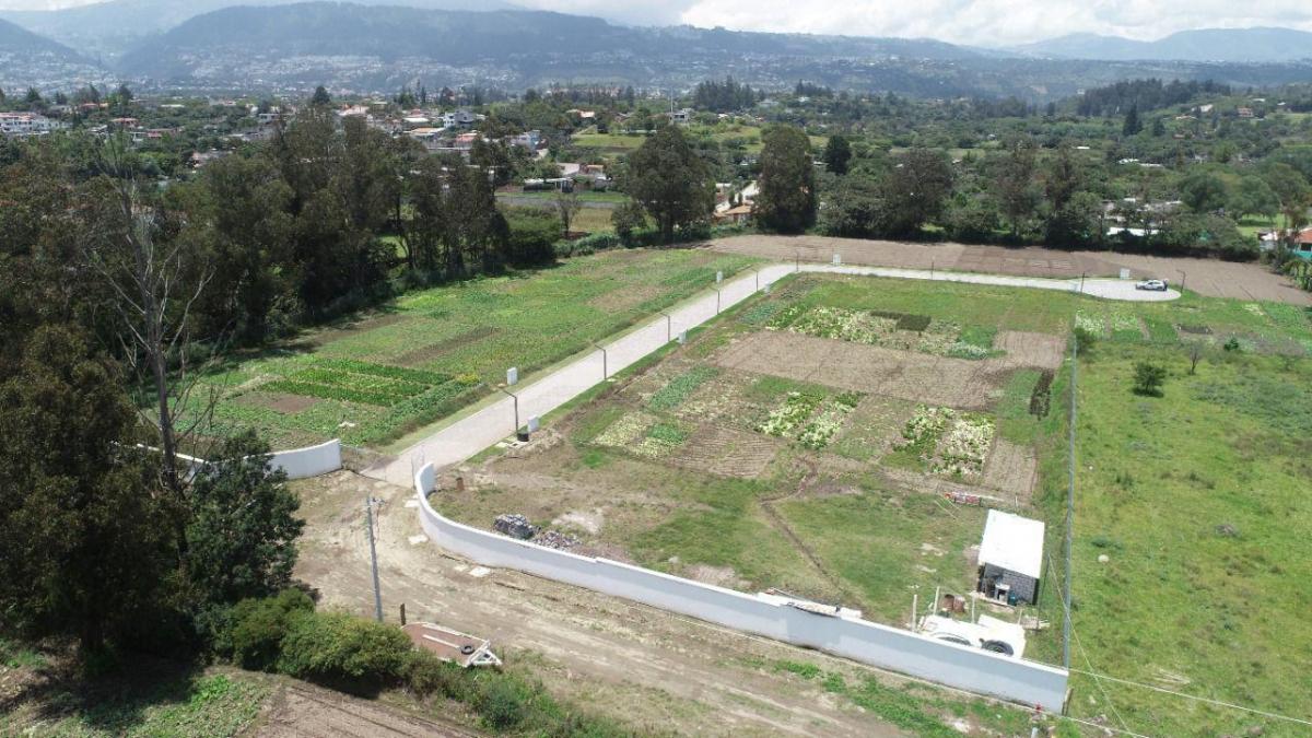 Venta Terreno Plano Urb. Tumbaco 817 a 1.286 m² — imagen 5