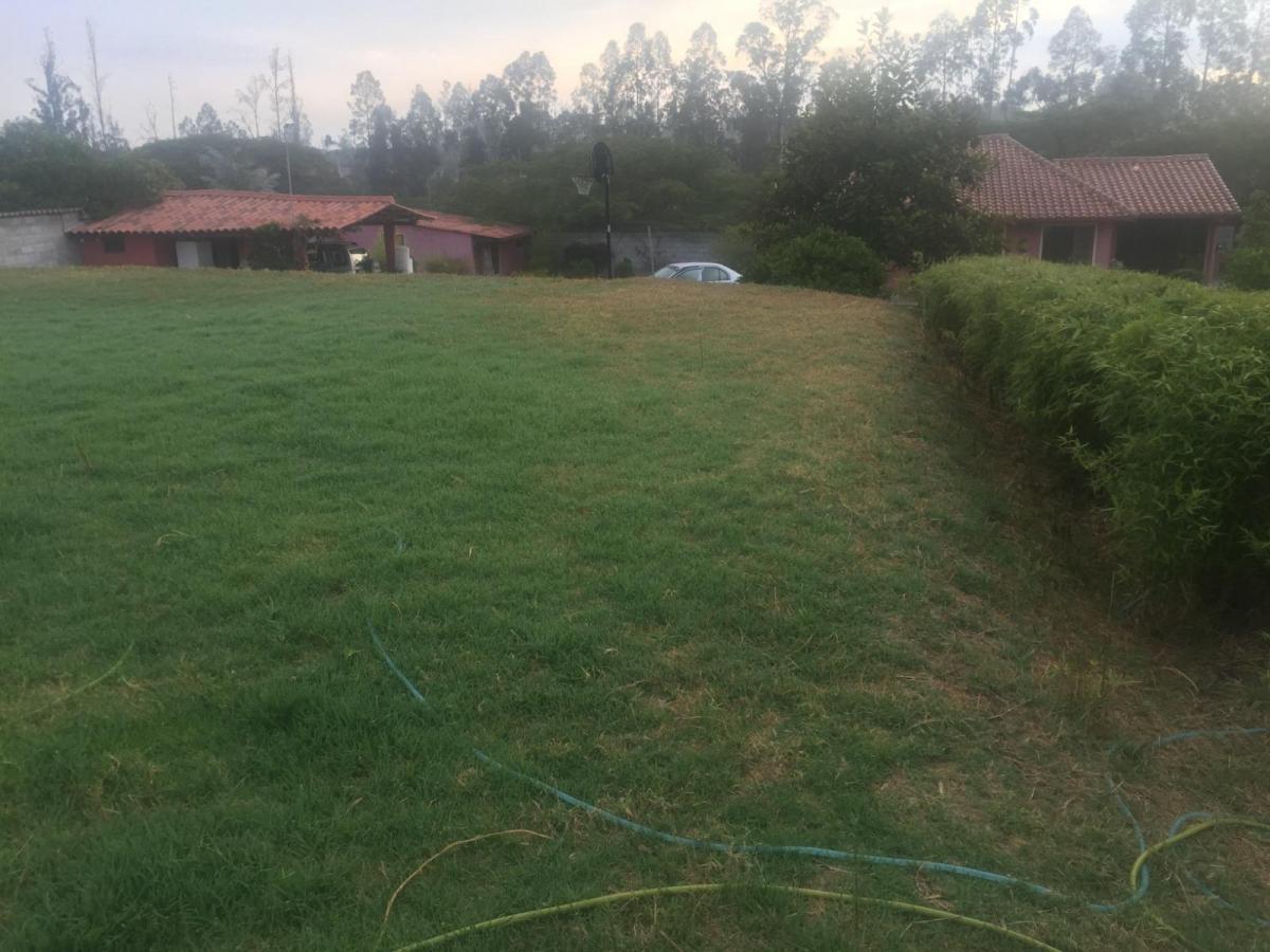 Venta Terreno con Casa Pequeña de Campo Shalom Puembo — imagen 6