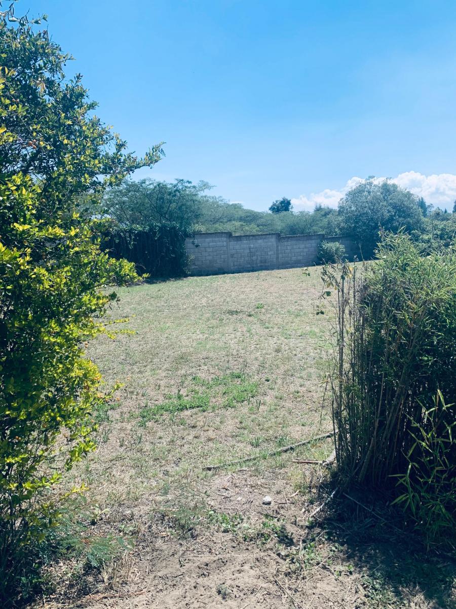 Venta Terreno con Casa Pequeña de Campo Shalom Puembo — imagen 5