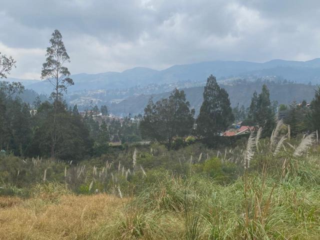 Oportunidad Terreno en Venta 17.500 m² Sector Chuquipata (Unae) — imagen 10