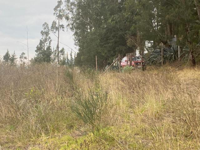 Oportunidad Terreno en Venta 17.500 m² Sector Chuquipata (Unae) — imagen 8