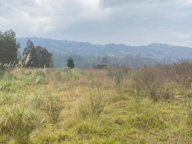 Oportunidad Terreno en Venta 17.500 m² Sector Chuquipata (Unae) — imagen 7
