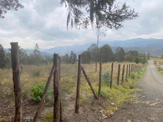 Oportunidad Terreno en Venta 17.500 m² Sector Chuquipata (Unae) — imagen 6